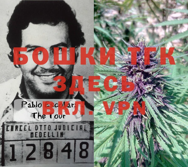 apvp Липки