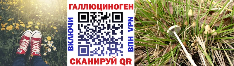 Галлюциногенные грибы мицелий  Купить закладки  Няндома 
